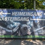 Faninformationen FV Illertissen – TSV 1860 München Plakat in Illertissen