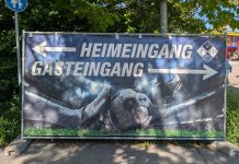 Faninformationen FV Illertissen – TSV 1860 München