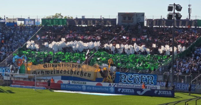 Titelbild TSV 1860 TSG Hoffenheim II Fotogalerie