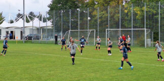 Sg Aschheim/Kircheim Tsv 1860 Löwinnen I