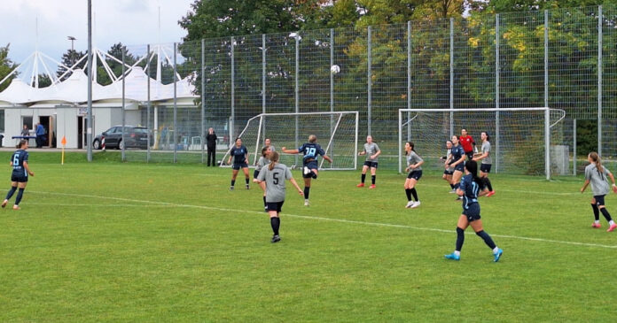 Sg Aschheim/Kircheim Tsv 1860 Löwinnen I