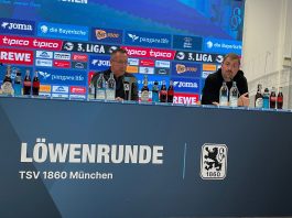 Löwenrunde vor Cottbus: "Es gibt noch eine Chance"