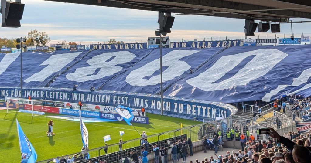 fotogalerie titelbild tsv 1860 msv duisburg löwen zebras