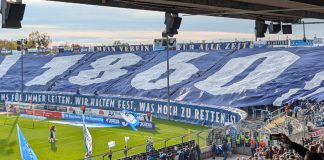 fotogalerie titelbild tsv 1860 msv duisburg löwen zebras