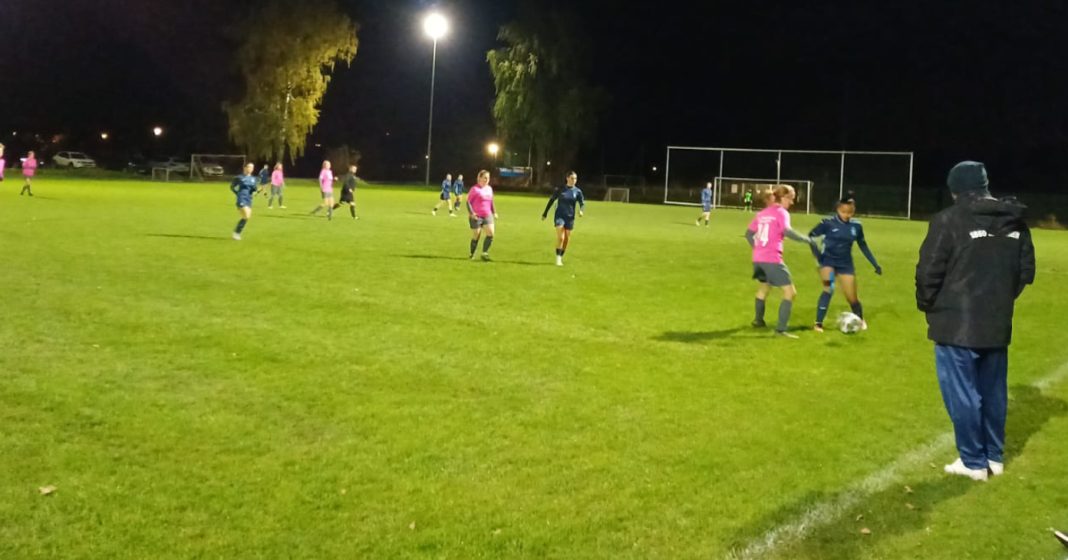 sg vierkirchen indersdorf tsv 1860 löwinnen u23 sg vierkirchen indersdorf tsv 1860 löwinnen