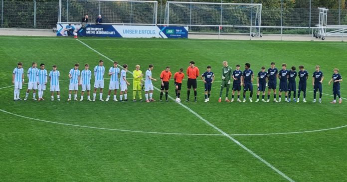 tsg hoffenheim tsv 1860 u17