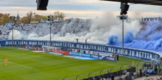 tsv 1860 msv duisburg löwen zebras