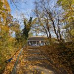 2025 11 01 Cottbus (H) 05 Treppe West