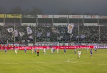 Der Mann an der Pfeife (gegen Ulm): Nico Fuchs