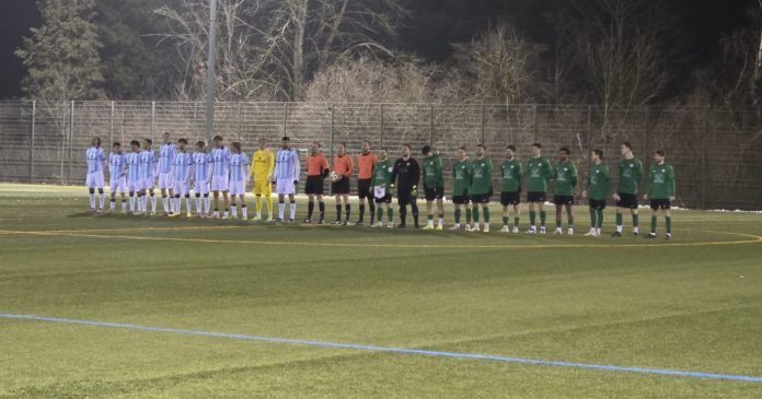 sc grüne heide tsv 1860 u21 sc grüne heide tsv 1860 u21