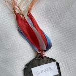 Tsv 1860 Gimnasia 15