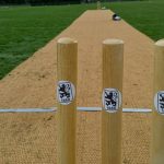 Gelungenes Heimdebüt: Cricket Löwen stürmen an Tabellenspitze