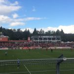 Wieder Tickets für das Totopokal-Finale in Würzburg erhältlich