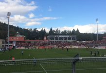 Wieder Tickets für das Totopokal-Finale in Würzburg erhältlich