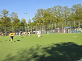 Löwinnen I TSV 1860 FC Teutonia München