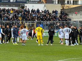 TSV 1860 SV Waldhof Mannheim Stimmen zum Spiel