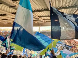 titelbild fotogalerie energie cottbus tsv 1860