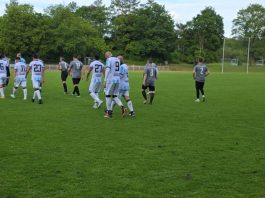 nk hajduk tsv 1860 senioren b