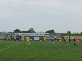 sv dornach löwinnen I