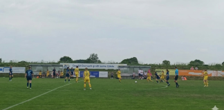 sv dornach löwinnen I