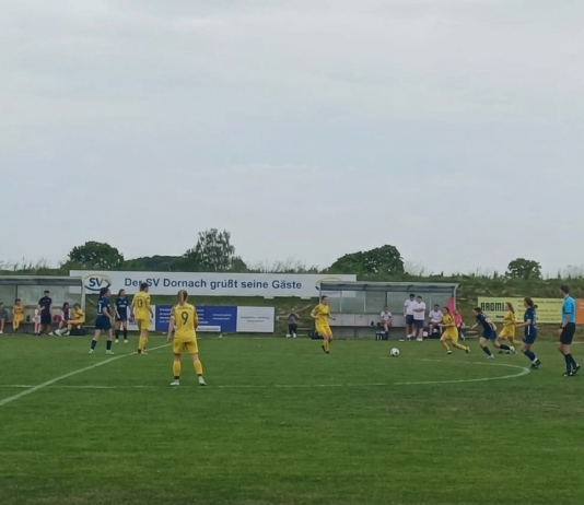 sv dornach löwinnen I