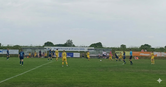 sv dornach löwinnen I