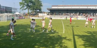 titelbild fc sf schwaig tsv 1860