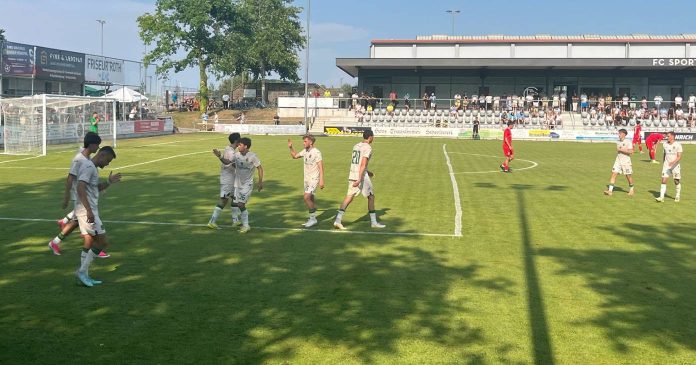 titelbild fc sf schwaig tsv 1860