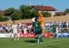 Fotogalerie zu SV 1966 Kay – TSV 1860 München (Testspiel) titelbild fotogalerie sv kay tsv 1860