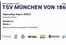 Für die neue Dauerkarte: Anonymer Spender unterstützt Löwenfans mit 34.243 Euro
