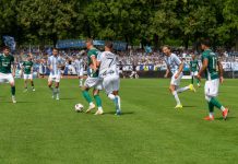 Fotogalerie zu FC Schweinfurt 05 – TSV 1860 München titelbild fotogalerie fc schweinfurt 05 tsv 1860