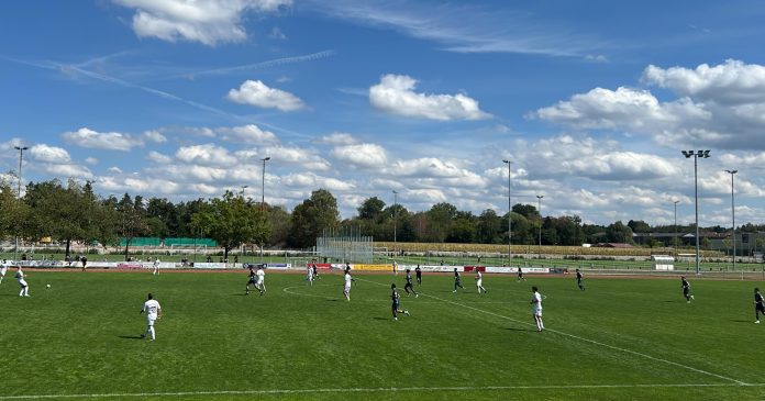 Tsv 1860 III Dritte Poing