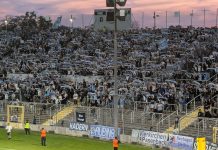 Stimmen zum Spiel (und der Löwenlage): TSV 1860 München – TSV Buchbach stimmen zum spiel buchbach