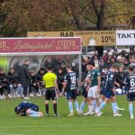 Giesinger Gedanken: So will ich die Löwen sehen! VfB Eichstätt TSV 1860 Löwen