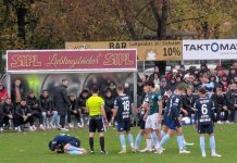 Giesinger Gedanken: So will ich die Löwen sehen! VfB Eichstätt TSV 1860 Löwen