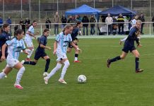 Löwinnen I siegen weiter – TSV 1860 IV punktet spät löwinnen u15 esv münchen