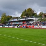 Faninformationen VfB Eichstätt – TSV 1860 München vfb eichstätt