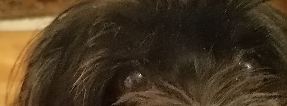 chiela 60