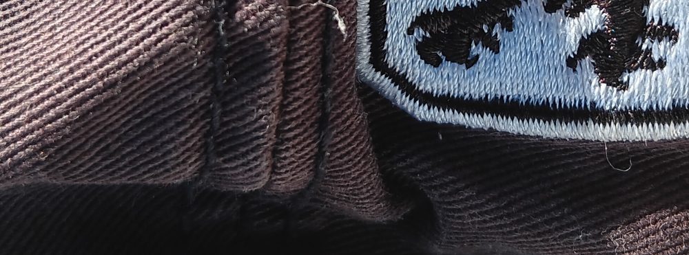 Sonnenloewe